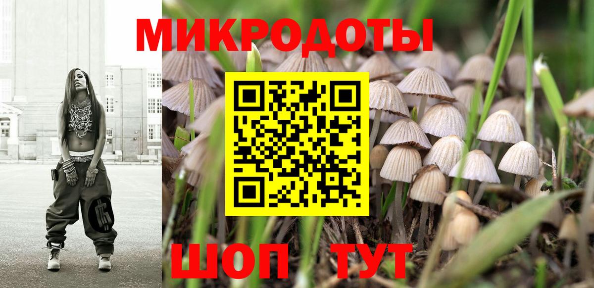 Псилоцибиновые грибы мицелий  Вход с VPN  Сертолово 